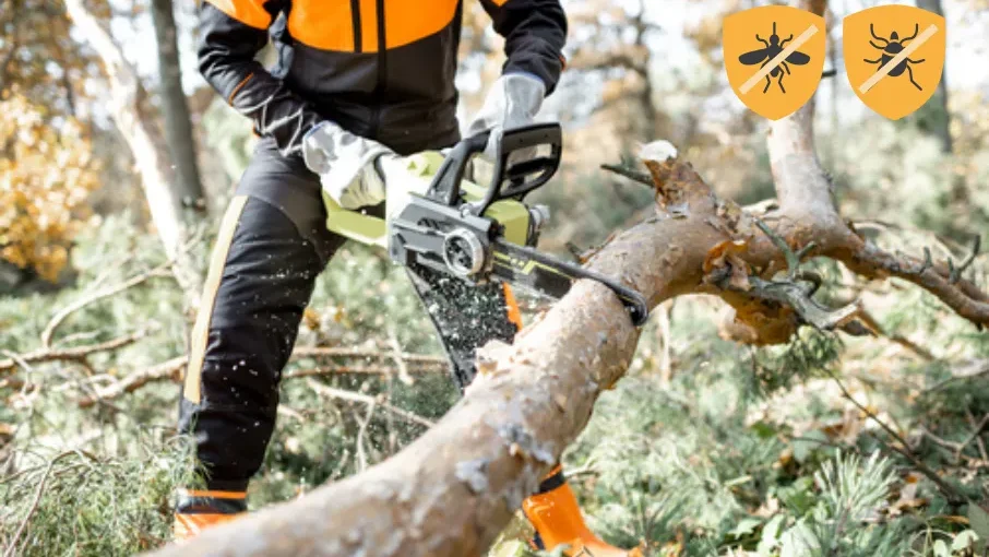 Hombre con una motosierra cortando un tronco en un bosque.